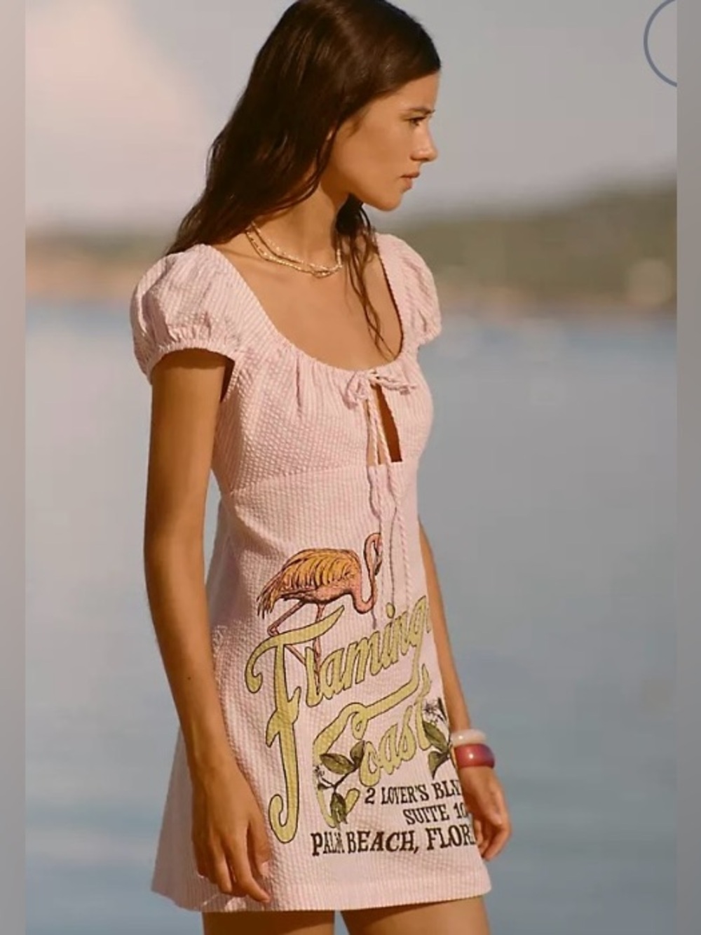 NWT Anthropologie Pink Puff Sleeve Seersucker Dress with Flamingo Graphic.XL